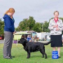 Robin wins at Redwood Empire KC show!