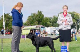 Robin wins at Redwood Empire KC show!