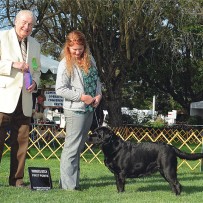 Robin wins at San Mateo Kennel Club show!