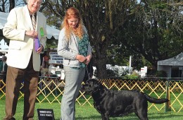 Robin wins at San Mateo Kennel Club show!